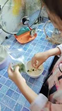 清明假期生活