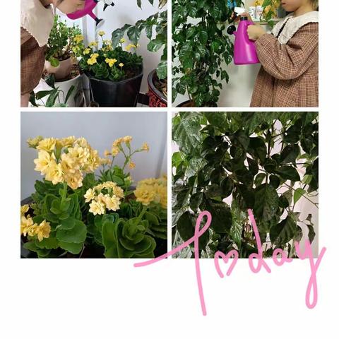 《我的假期文明实践作业》前杜北小学二年级一班王星语