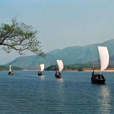 楠溪江花海、源头村、舴艋舟一日游