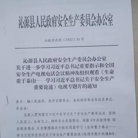 学习习近平总书记重要指示和全国安全生产电视电话会议精神