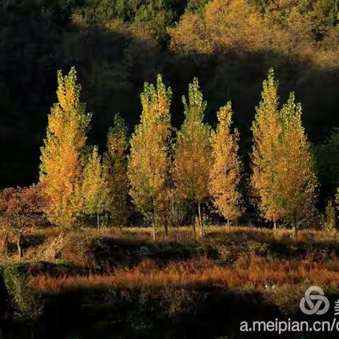 《那些年的风景》 戈洋摄影