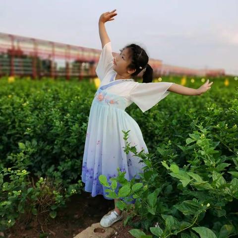 秋高气爽，茉莉飘香，陪你一起长大