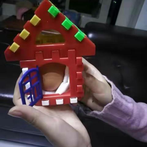 护蛋大行动，用心悟恩情                                                             (三一班）