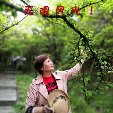 杜鹃花🌸海大围山！！