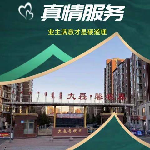 大磊馨视界9月份工作简报