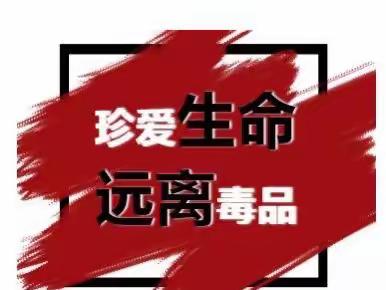 夏季治安打击整治“百日行动”丨抚松县公安局禁毒大队联合抚松派出所成功抓获一名吸毒人员