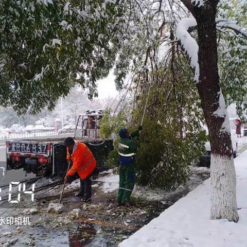 寒风中，城管局全力以赴除雪护绿