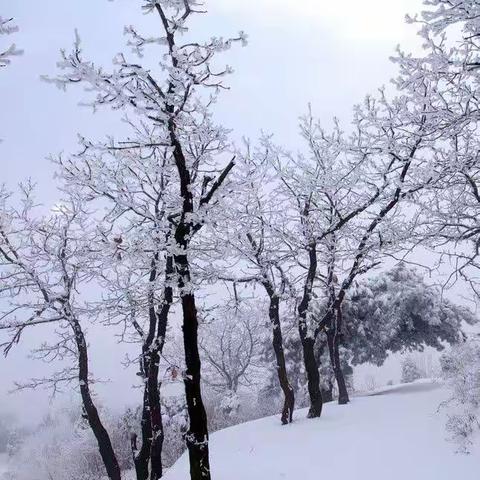 远方的雪景