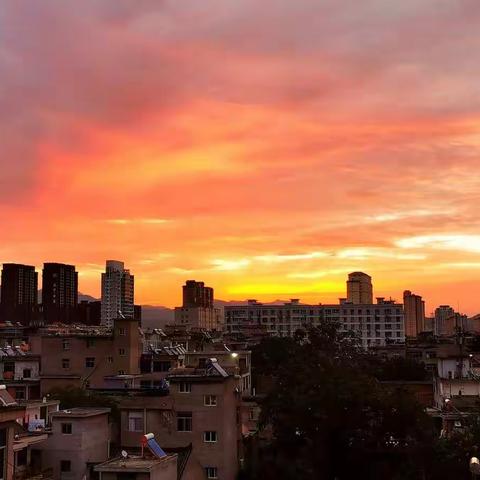 彩霞红满天    霜染秋叶红