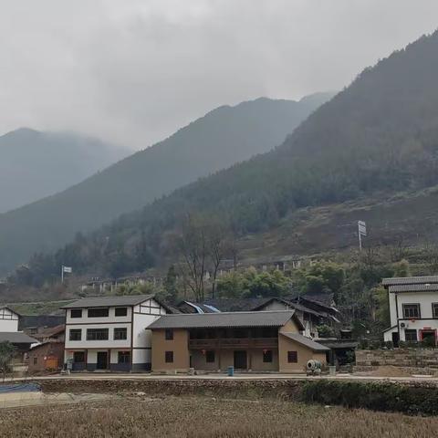 山中掠影