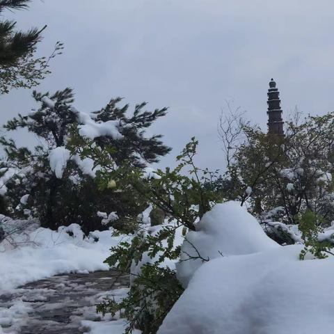 浣溪沙 雪中崛围行