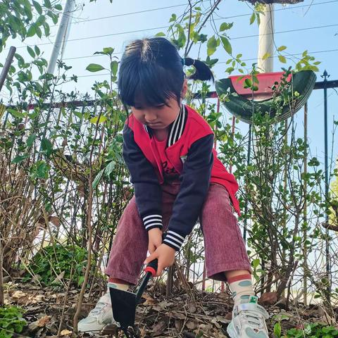 “春意植生，向润而生”之姜山镇丽水幼儿园大二班植树节系列活动