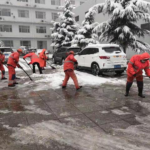 全力以赴清除积雪  保障畅通净化环境