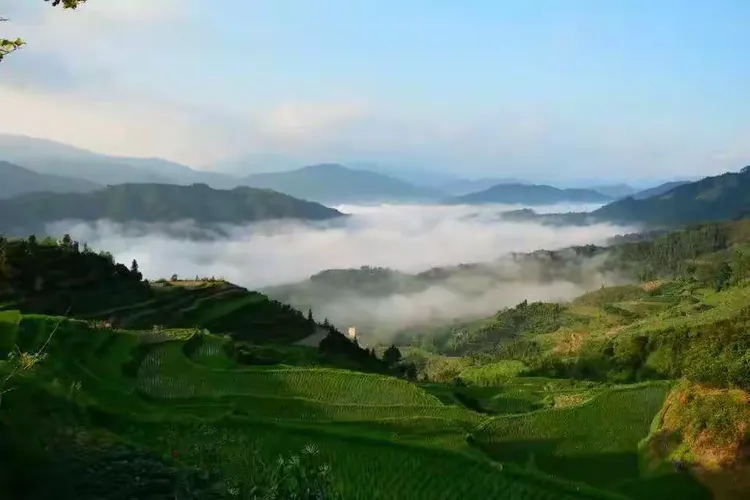 乐江乐土乐悠悠