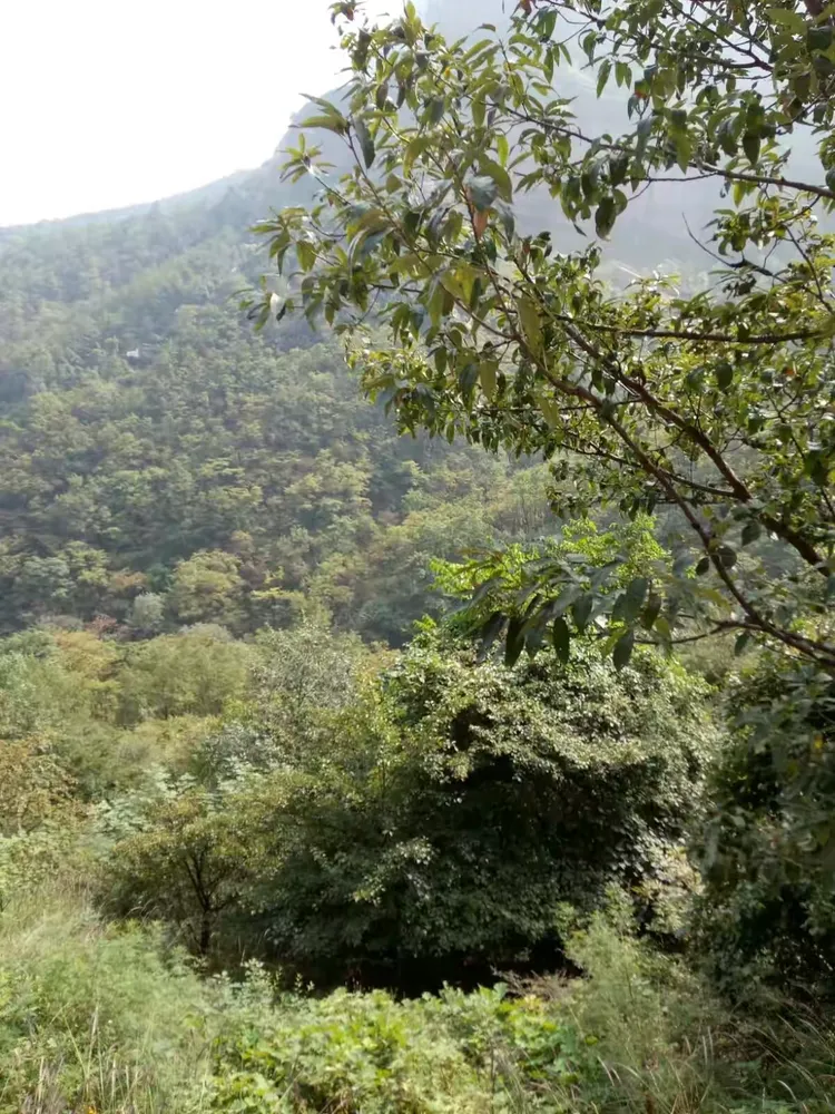 2016国庆黄华山之行