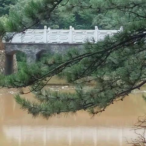 大寺森林公园夏季雨后美景