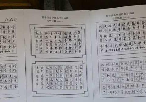 唐马杨辛庄小学规范书写✍活动！