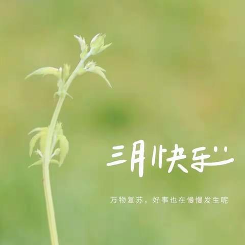 托一萌娃·成长篇