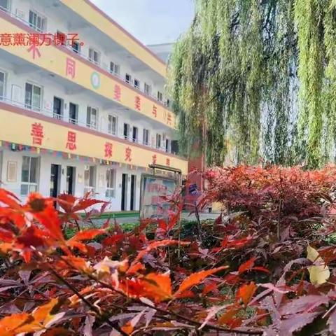 多措并举筑牢卫生健康防护网——高新37小开展冬季卫生防控活动