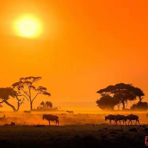 国际影赛获奖作品