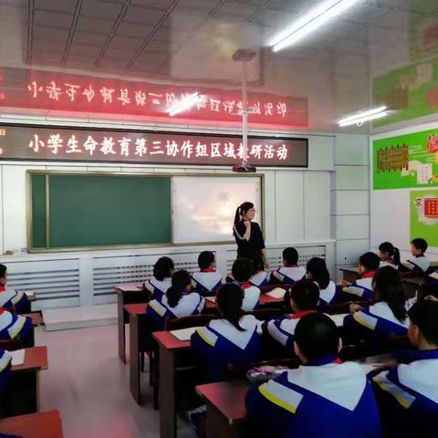 德育教研部小学生命教育第三协作组开展区域教研活动