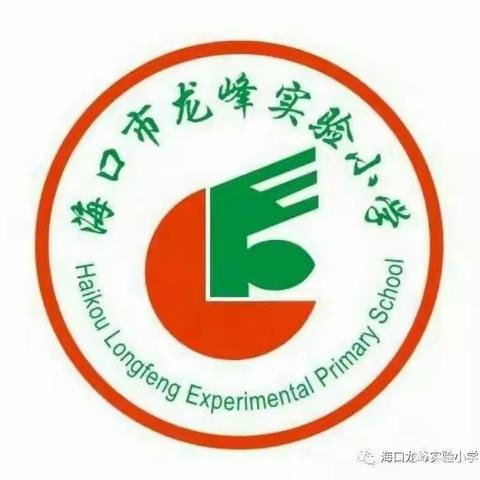 海口市龙峰实验小学四（9）班课外综合实践活动——团体心理辅导