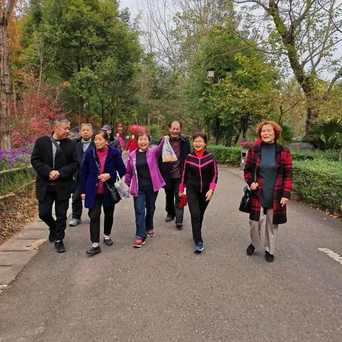 冬季老年人健康活动