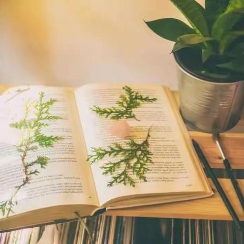 “书香沁暖冬，阅读润亲情”——蒙阴二小启航幼儿园阅读活动倡议书