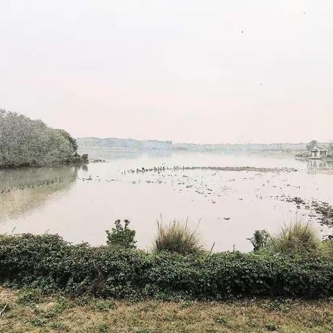 海珠湖徒步