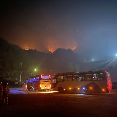 城西森林消防紧急出动，驰援永康