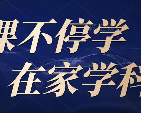 停课不停学 在家学科学——焦岱镇中心学校本部精彩的“空中课堂”