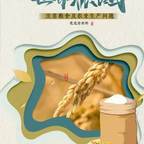 节约粮食 从我做起