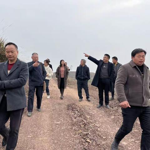 扎实推进“稻香水韵·文明中江”乡村振兴示范点建设