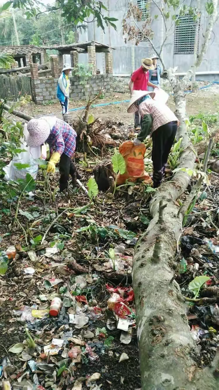 蓬莱镇继续深入开展农村环境卫生自查整治行动（一）