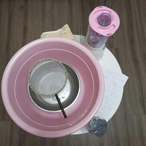 科学实验：制作再生纸