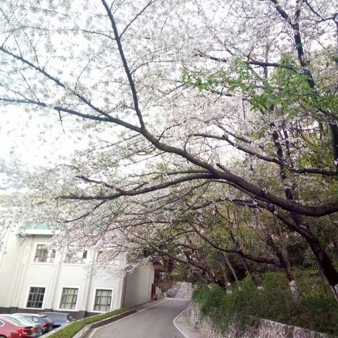 春风细雨 润物无声 —— 听孙和平教授讲座有感（武汉培训第四组）