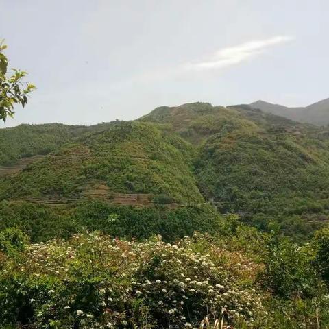 大爱有疆  大恩有言  关爱儿童  爱心在行动——杨地镇中心小学爱心助学工作纪实