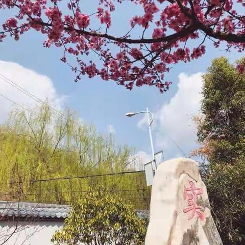 持续帮扶人心暖 留守儿童知感恩——南方、西安爱心团队资助杨地镇留守儿童活动纪实