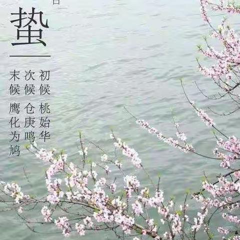 【今日惊蛰】—渑池县实验幼儿园二十四节气活动