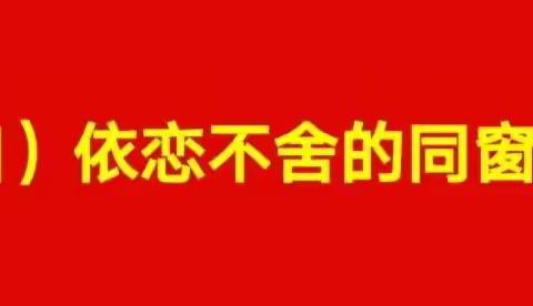 我的中学时光（4）