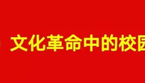 我的中学时光（2）