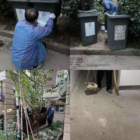 幸福街道11月28日工作动态