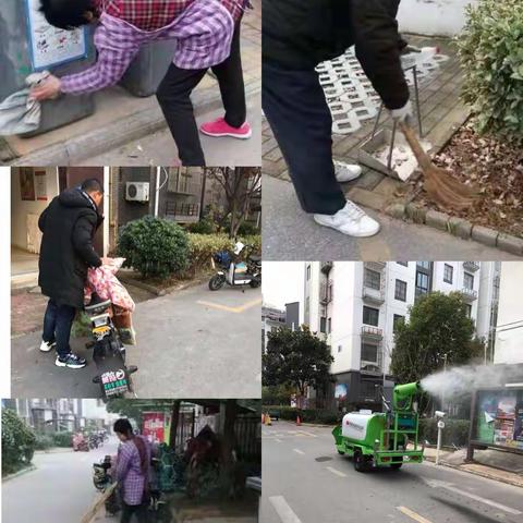幸福街道城东社区12月5日工作动态