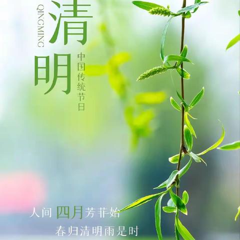 “春雨如烟正清明，一曲怀念古人听”——九妹幼儿园中一班清明主题活动