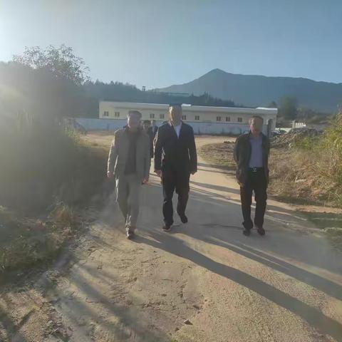 省社党组成员、副主任占飞豹到泰宁调研 农资春耕备耕等工作