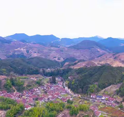 百山祖镇兰泥村：1天获赠11万慈善基金    爱心接力永不停步