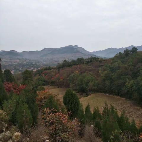 青州 雪山红叶