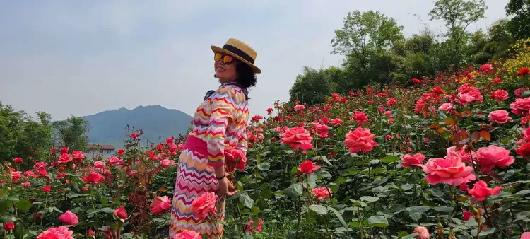2020年玫瑰花价格