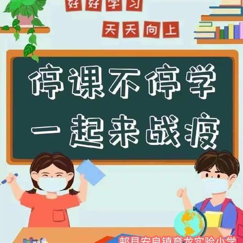 【育龙教育】停课不停学，成长脚步不停歇！《五》