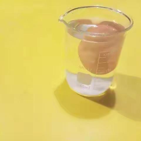 “探”出原理 ，“究”出学问——羊尾镇富家沟中心小学举行“我来做实验”活动